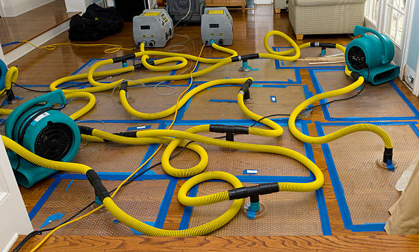 Professional Sewage Cleanup technician working in Marlborough, MO